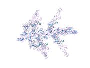 1o1d: MOLECULAR MODELS OF AVERAGED RIGOR CROSSBRIDGES FROM TOMOGRAMS OF INSECT FLIGHT MUSCLE