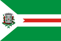 Bandeira de Santa Cruz das Palmeiras