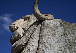 The Big Merino