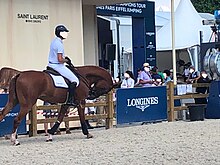 Cheval forcé par son harnachement à galoper avec la tête très basse, sur la carrière de détente d'une compétition officielle.