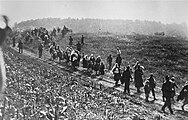 Nazi German soldiers, aided by Ustasha collaborators, lead a column of Serb civilians outside the Serbian town of Šabac