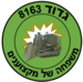 סמל גדוד 8163