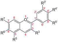 Structure of anthocyanins, the blue pigments in blueberries.