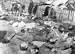 Thumbnail for Massacres of Poles in Volhynia and Eastern Galicia