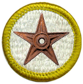 The Scouting Barnstar - For all the work you do that positively affects Scouting-related articles. --evrik (talk) 04:56, 12 April 2022 (UTC)