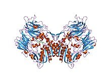 PDB 2oqv EBI.jpg