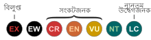 IUCN Red List category abbreviations (version 3.1, 2001)