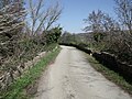 Brücke aus dem 14. Jahrhundert über den Ente bei Molino del Ponte (Montegiovi)