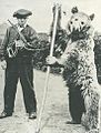 A dancing bear in Sussex c. 1900