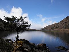 Laguna Grande en el Parque nacional General Juan Pablo Peñaloza.