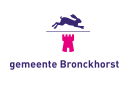 Drapeau de Bronckhorst