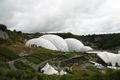 Eden Project, near St Austell