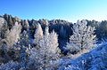 Image 6Winter in the countryside of Lithuania