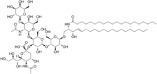 GM1 ganglioside.png