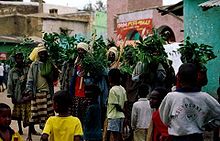 Harar Dance.jpg