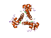 2omg: Structure of human insulin cocrystallized with protamine and urea