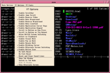 Xterm terminal emulator