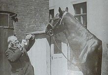 Photographie en noir et blanc d'un cheval et d'un homme qui lui présente une lettre sur du carton