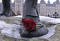 A rose left by a passerby