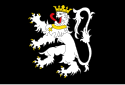 Vlag van Gent