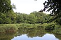 Cottbus, Brandenburg: Branitzer Park