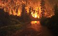 Image 38Elk Bath, an award-winning photograph of elk avoiding a wildfire in Montana (from Wildfire)