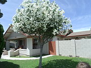 The Sosnoskie House was built in 1905.