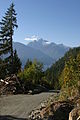 Mount Alfred from a logging road along the inlet.