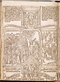 Blokboek, 1460-1470, Biblia pauperum