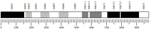 Chromosome 16 (mouse)