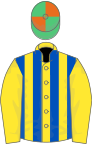 YELLOW and ROYAL BLUE STRIPES,yellow sleeves,emerald green and orange quartered cap