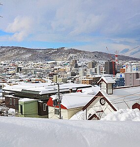 Vista hivernal