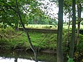 Surviving walls from the old 'Formal Gardens' beside the Lugton Water