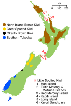 A distribuição de cada uma das espécies de kiwi