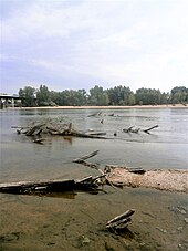 Photographie en couleurs de pieux émergeant d'un fleuve.