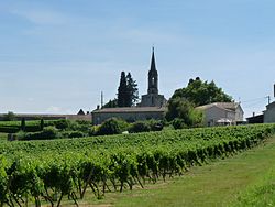 Skyline of Saint-Quentin-de-Caplong