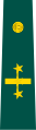 Insignia de coronel Ejército Nacional de Colombia.