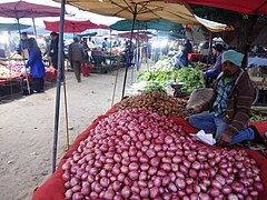 Farmers' Market (Apni Mandi) in Chandigarh, India