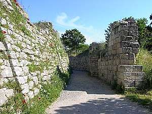 Les remparts de Troie.