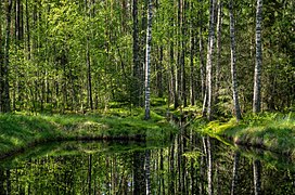 Mustoja nature park, Põlva county, Estonia