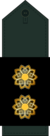 Lieutenant Colonel