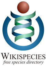 Vignette pour Wikispecies