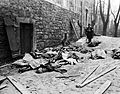 Los cadáveres de hombres, mujeres y niños belgas, asesinados por soldados alemanes durante su contraofensiva en Luxemburgo y Bélgica, esperan ser identificados antes de su entierro, 1944.