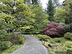 Seattle Japanese Garden