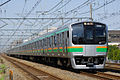 E217 series sa Linyang Tokaido Shōnan livery, Abril 2007.