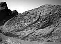 This image of the rock "Half Dome" was taken by the Sojourner rover's left front camera on Sol 71 (September 14). Pits, linear textures, and pronounced topography on the rock are clearly visible. This image and PIA01567(right eye) make up a stereo pair. Mars Pathfinder is the second in NASA's Discovery program of low-cost spacecraft with highly focused science goals. The Jet Propulsion Laboratory, Pasadena, CA, developed and manages the Mars Pathfinder mission for NASA's Office of Space Science, Washington, D.C. JPL is an operating division of the California Institute of Technology (Caltech).