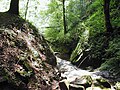 Zwingenberg (Neckar) gorge: Wolfsschlucht