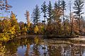 #87 Schwanberg, Birkensee auf dem Gipfel, Iphofen, Landschaftsschutzgebiet und Naturparks Steigerwald, Vogelschutzgebiet Südlicher Steigerwald, FFH-Gebiet Vorderer Steigerwald mit Schwanberg