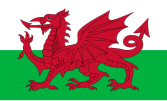 Flag of Wales (Welsh dragon)