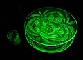 uranium glass